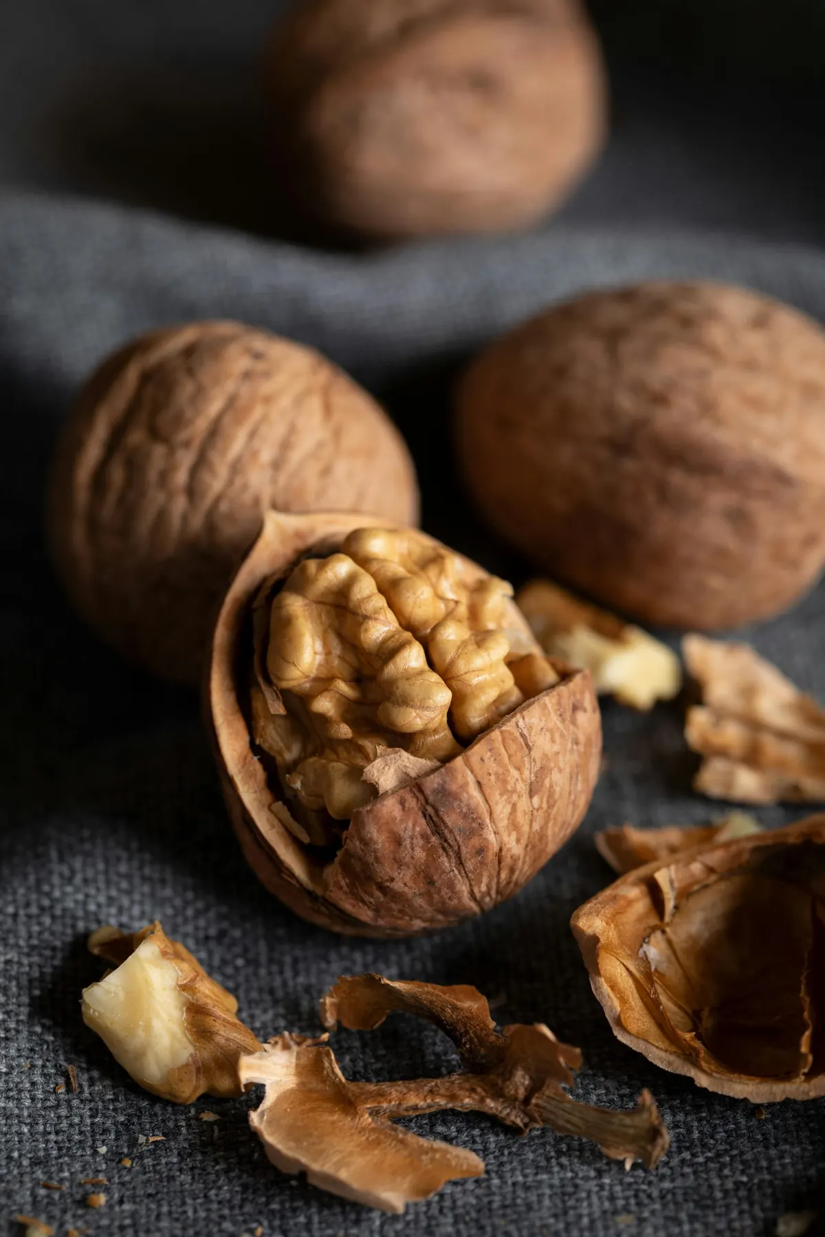 Fuel Your Brain: The Best Foods to Boost Your Brainpower