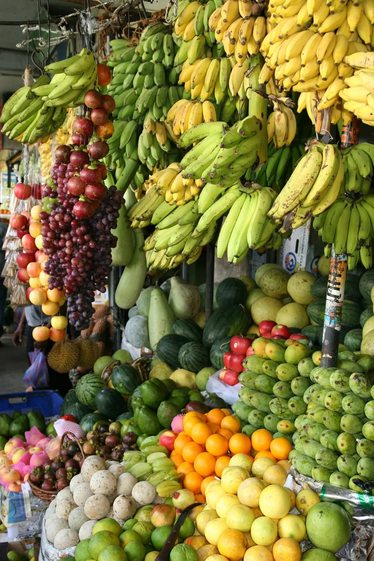 Master Your Meals: Plan, Shop, and Cook for Health!